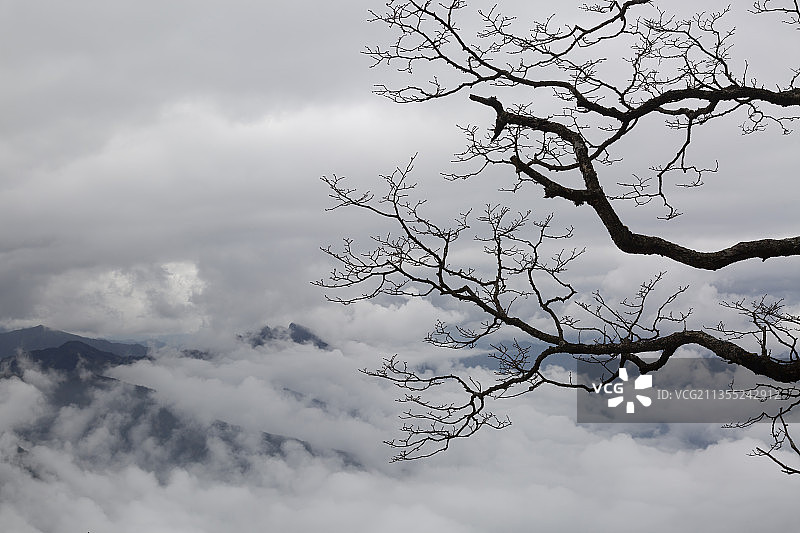 高视角下陕西汉中龙头山云海图片素材