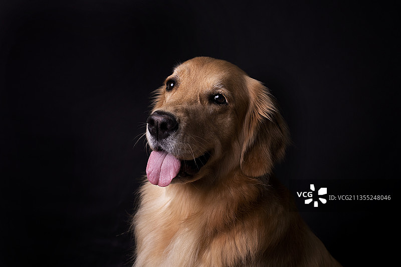 “微笑”图片素材