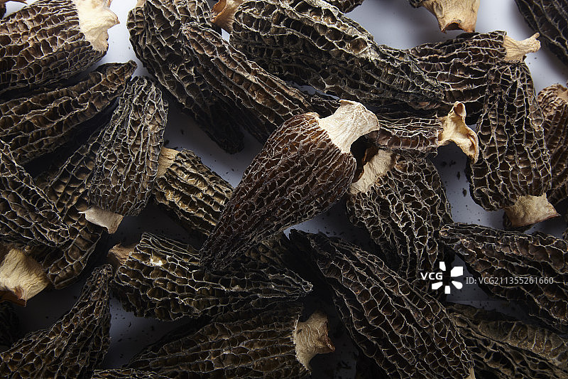 羊肚菌图片素材