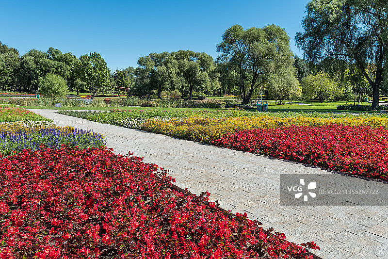 中国哈尔滨秋季晴天太阳岛景区花园草地树林道路图片素材