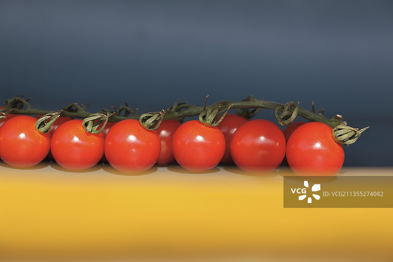 圣女果图片素材