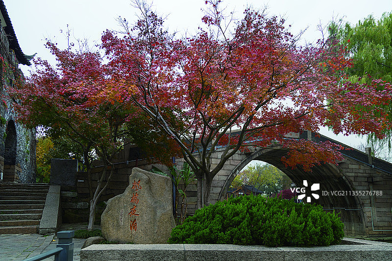 苏州运河十景：枫桥红枫图片素材