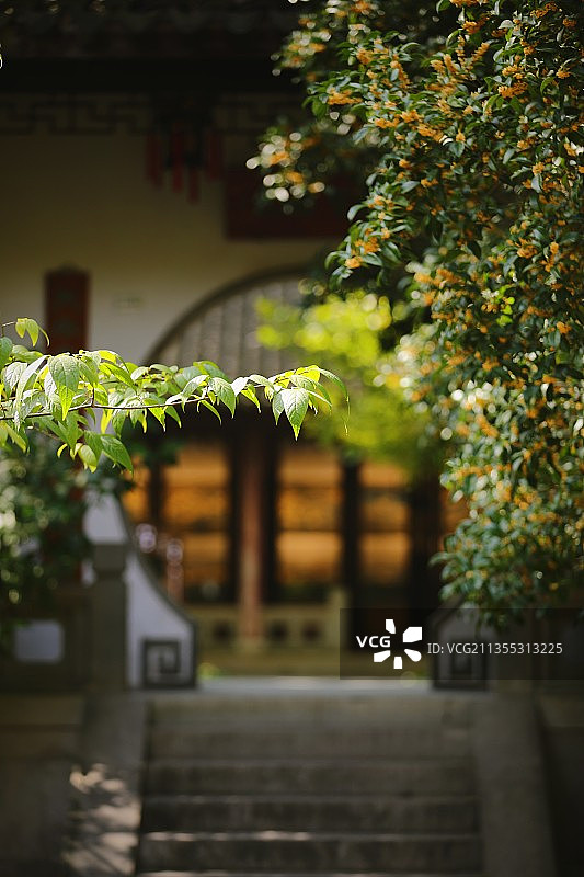 香飘院落图片素材