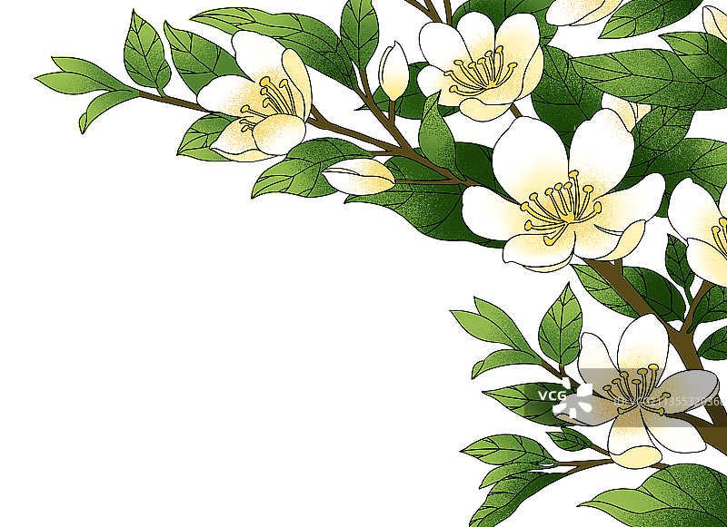 白色花元素图片素材