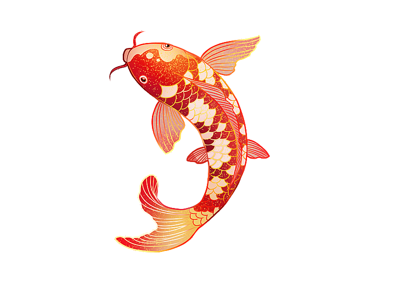 锦鲤鲤鱼元素图片素材