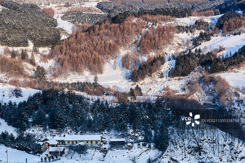 日出下的中国吉林延边大兴安岭的雪地树林和村庄图片素材
