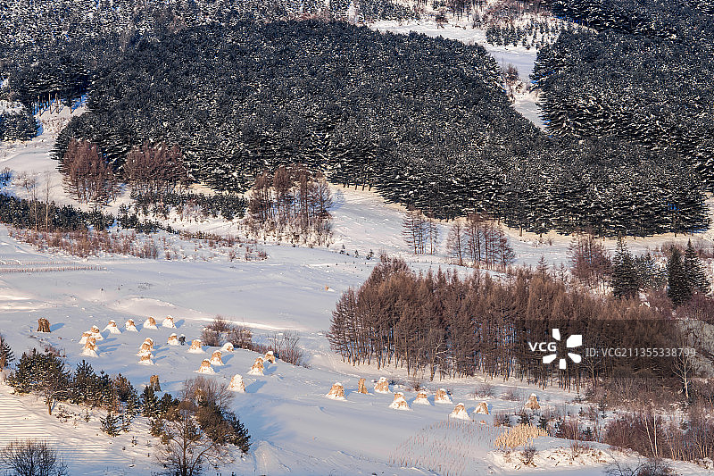日出下的中国吉林延边大兴安岭的雪地树林和村庄图片素材
