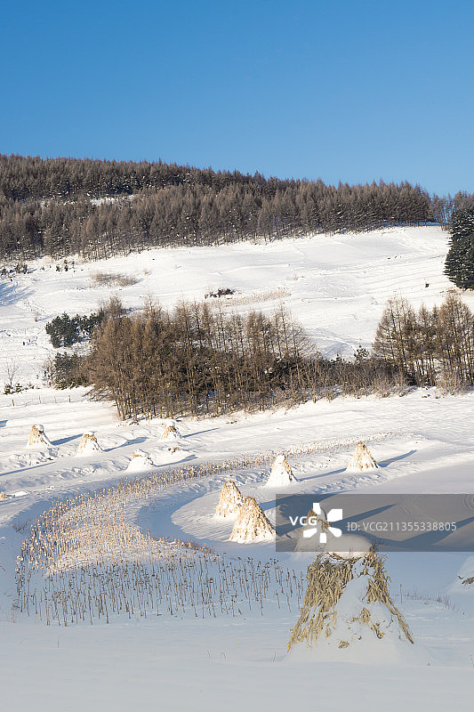 日出下的中国吉林延边大兴安岭的雪地树林和村庄图片素材