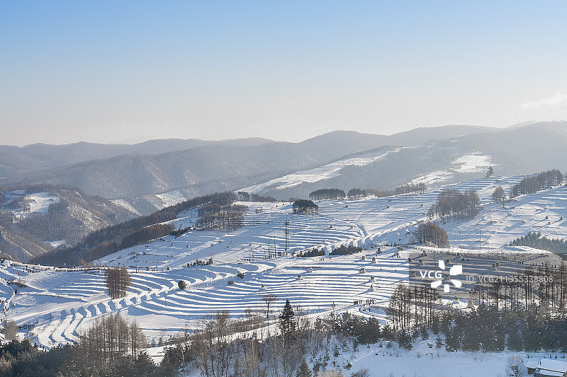 日出下的中国吉林延边大兴安岭的雪地树林和村庄图片素材