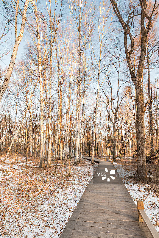 冬季长白山夕阳下的雪地树林栈道图片素材