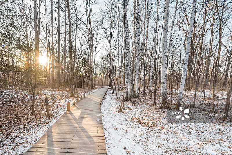 冬季长白山夕阳下的雪地树林栈道图片素材