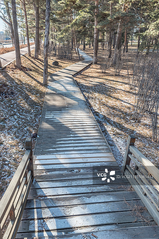 冬季长白山夕阳下的雪地树林栈道图片素材
