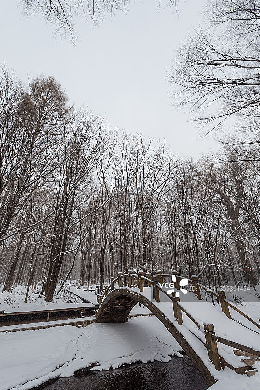 冬季长白山的雪地树林冰河图片素材