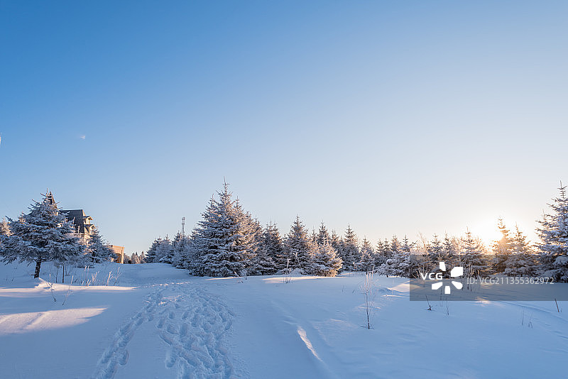 冬季长白山的雪地和雾凇图片素材