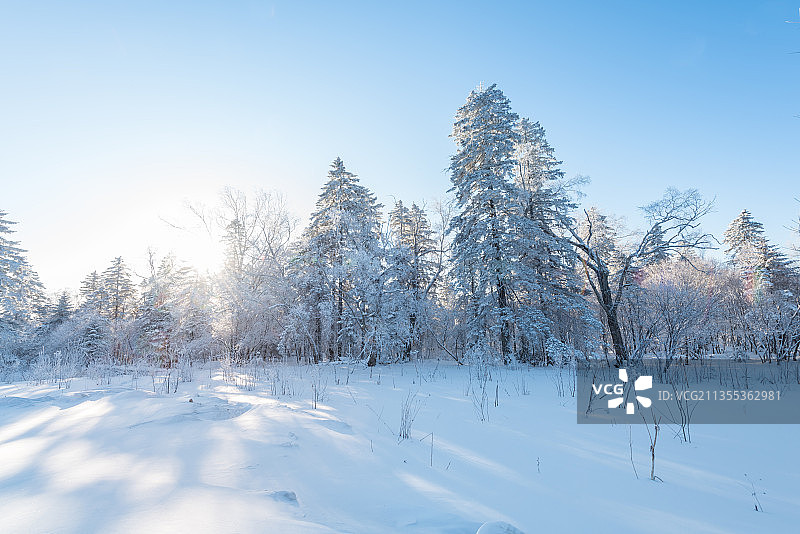 冬季长白山的雪地和雾凇图片素材