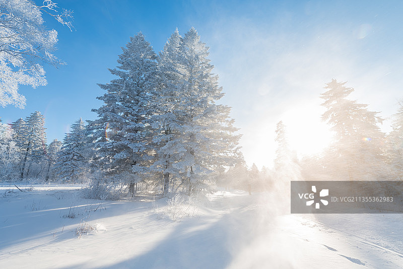 冬季长白山的雪地和雾凇图片素材