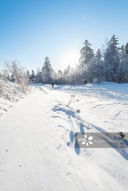 冬季长白山的雪地和雾凇图片素材