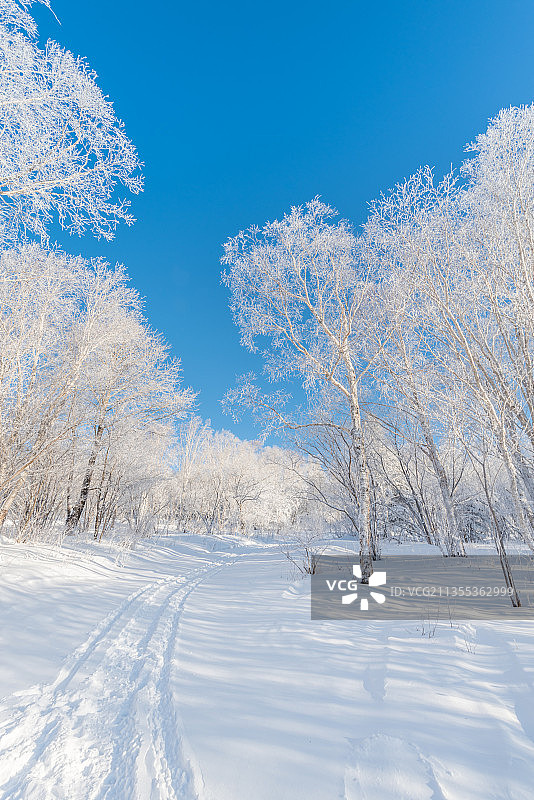 冬季长白山的雪地和雾凇图片素材