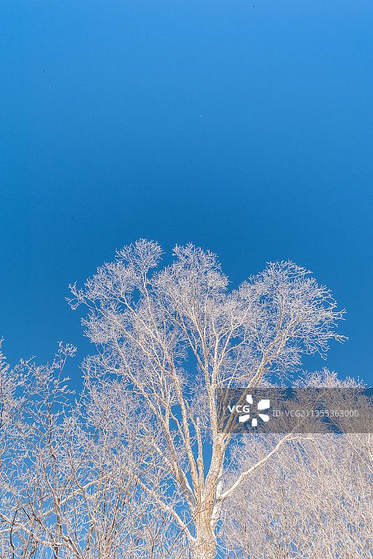 冬季长白山的雪地和雾凇图片素材