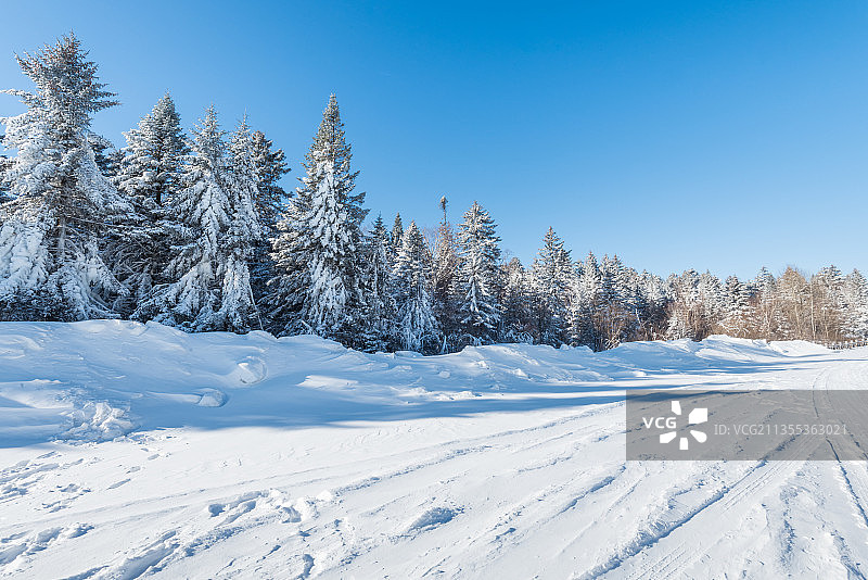 冬季长白山的雪地和雾凇背景图片素材