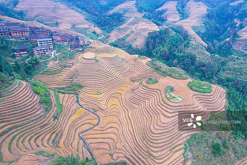 桂林龙胜龙脊梯田风景区航拍图片素材