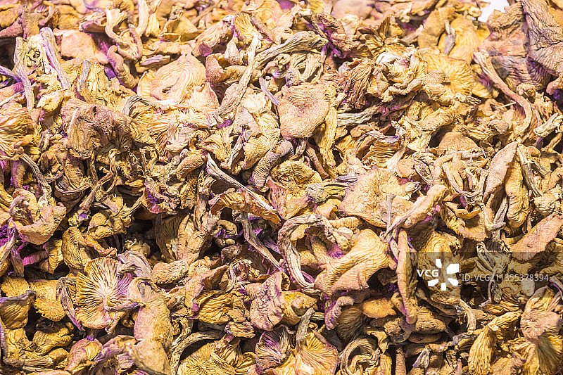 一堆野生榛蘑干图片素材