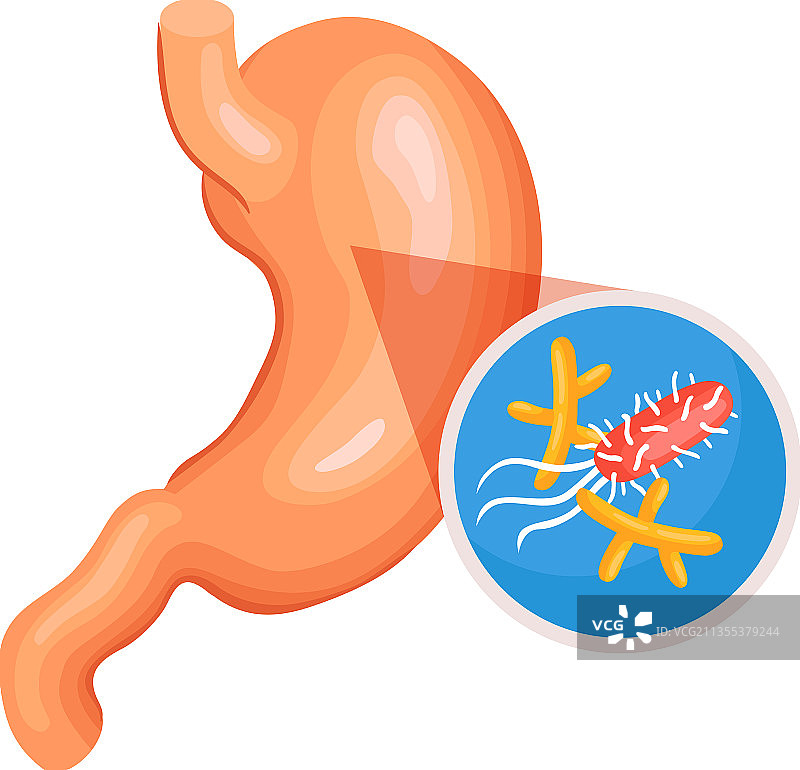 2.5D胃部细菌构成图片素材