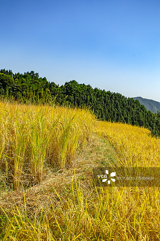 中国广东省清远市连山欧家梯田景区图片素材