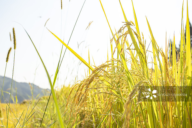 中国广东省清远市连山欧家梯田景区图片素材