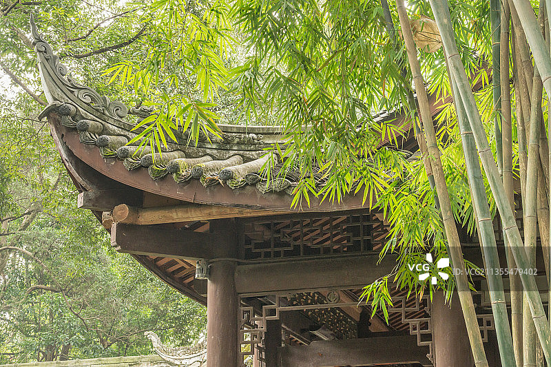 春季里中国成都杜甫草堂的竹林红墙古建筑图片素材