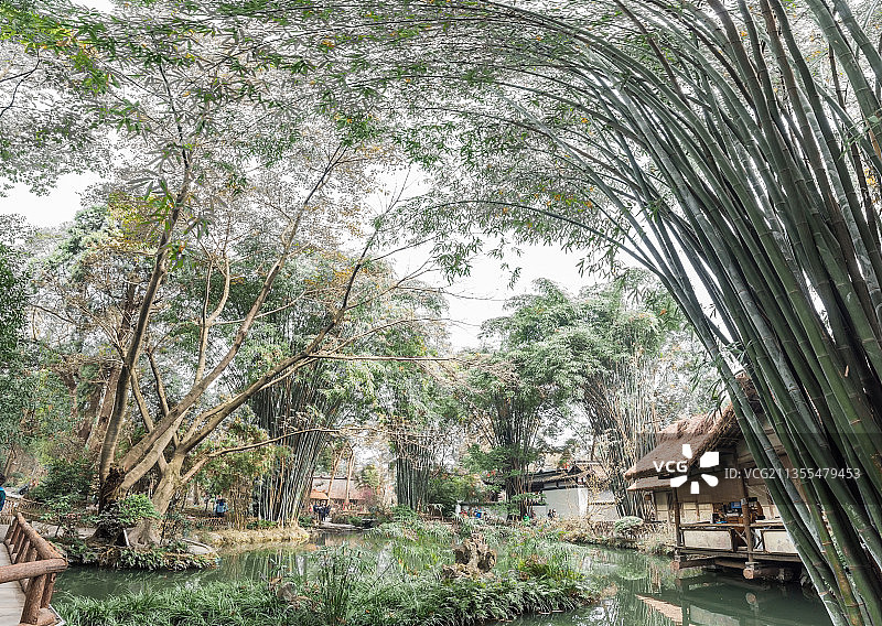 春季里中国成都杜甫草堂的竹林红墙古建筑图片素材