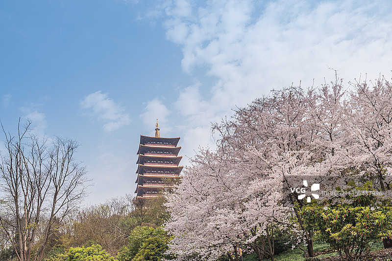 中国江苏南京的牛首山的樱花和古建筑图片素材