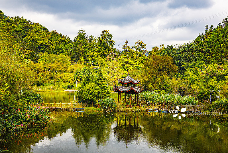 中国贵州六盘水盘州市妥乐古银杏村--世界古银杏之乡的金秋10图片素材
