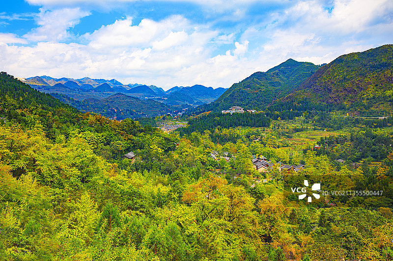 中国贵州六盘水盘州市妥乐古银杏村--世界古银杏之乡的金秋10图片素材