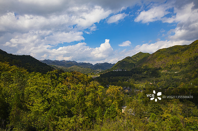 中国贵州六盘水盘州市妥乐古银杏村--世界古银杏之乡的金秋10图片素材