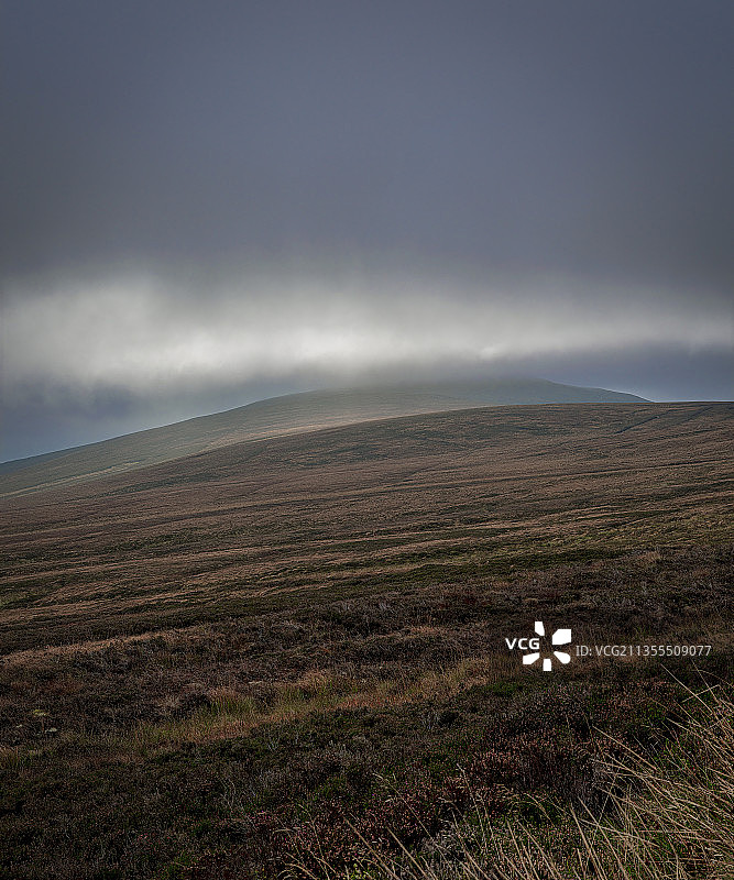 爱尔兰威克洛郡的田野风光图片素材