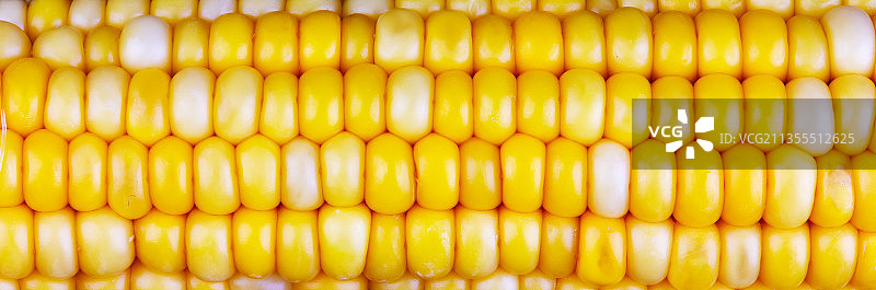 玉米特写图片素材