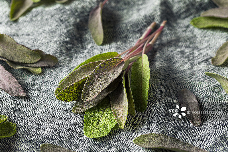 纺织品上的绿叶特写图片素材