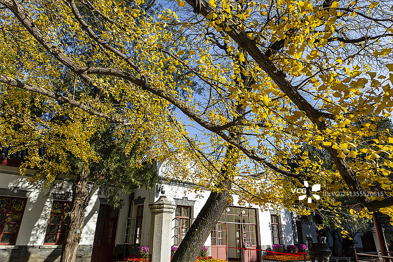 北京金秋的香山公园双清别墅图片素材