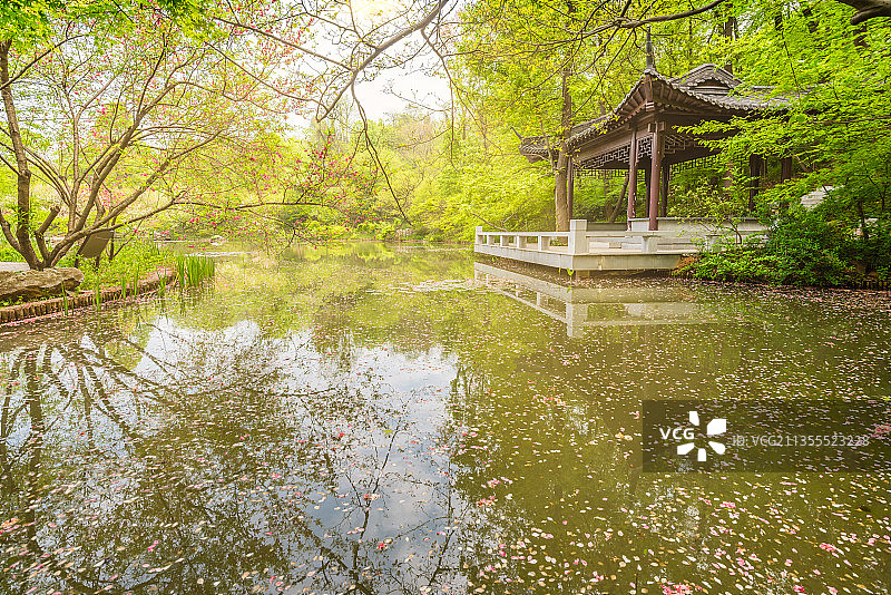 中国江苏南京栖霞山桃花涧的池塘桃花和园林建筑图片素材