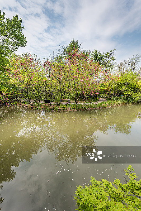 中国江苏南京栖霞山桃花涧的池塘桃花和园林建筑图片素材