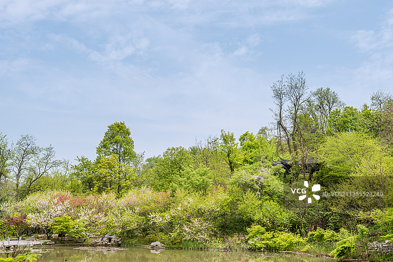 中国江苏南京栖霞山桃花涧的池塘桃花和园林建筑图片素材