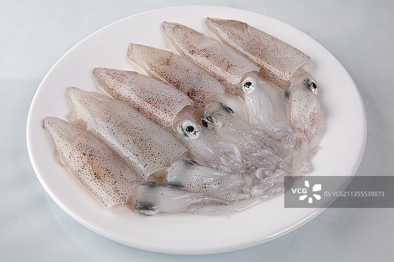 小鱿鱼图片素材