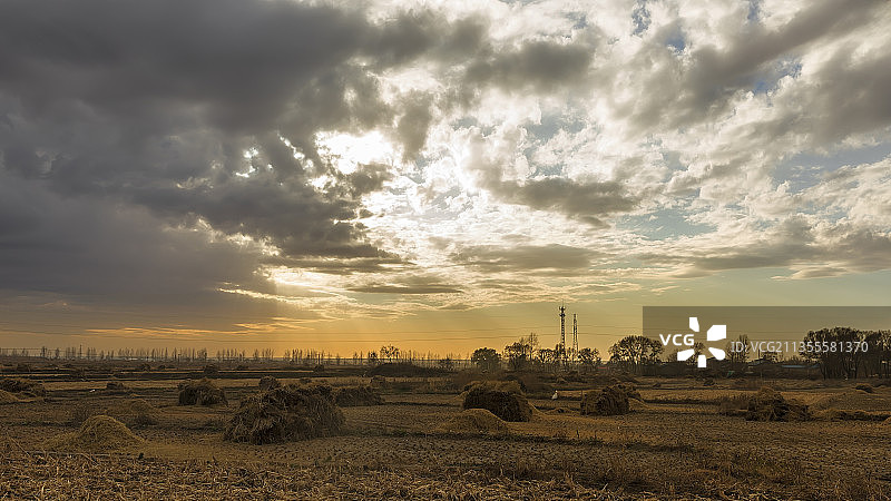 五常稻熟。哈尔滨五常拥有中国最响亮的稻米品牌—稻花香图片素材