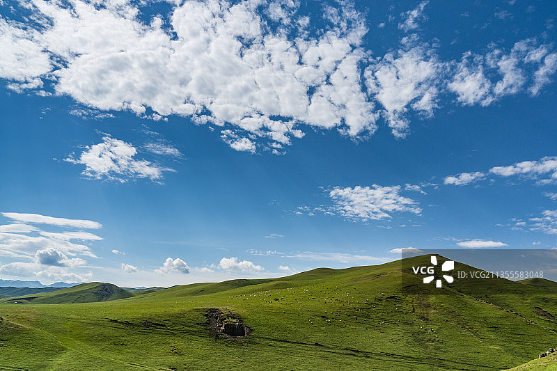 新疆塔城蓝天白云下的山坡草原公路图片素材