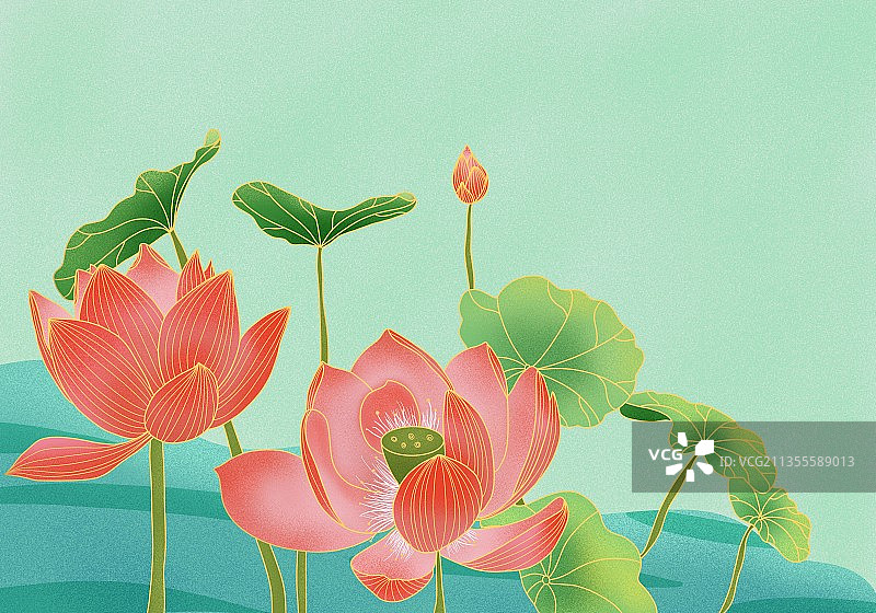 无人 荷花 古风  花瓣图片素材