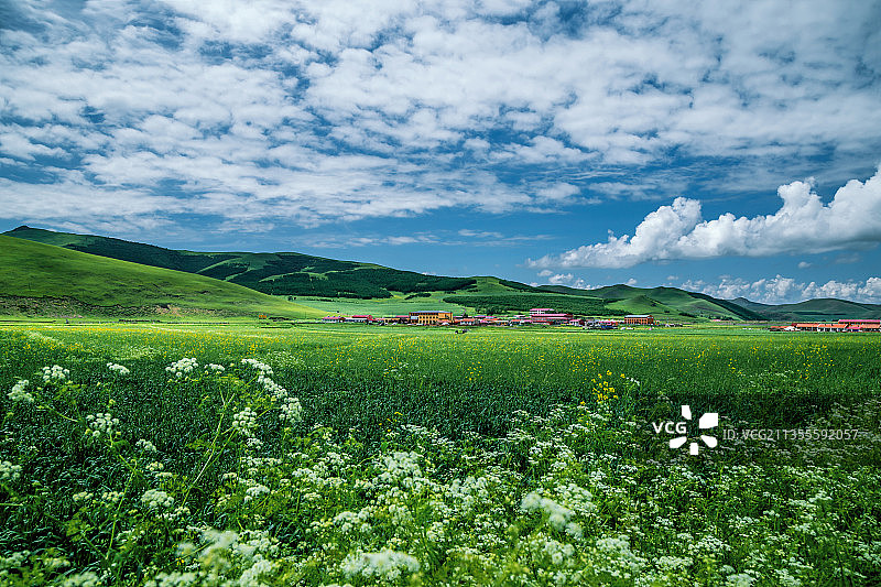 京北第一大草原河北丰宁坝上图片素材