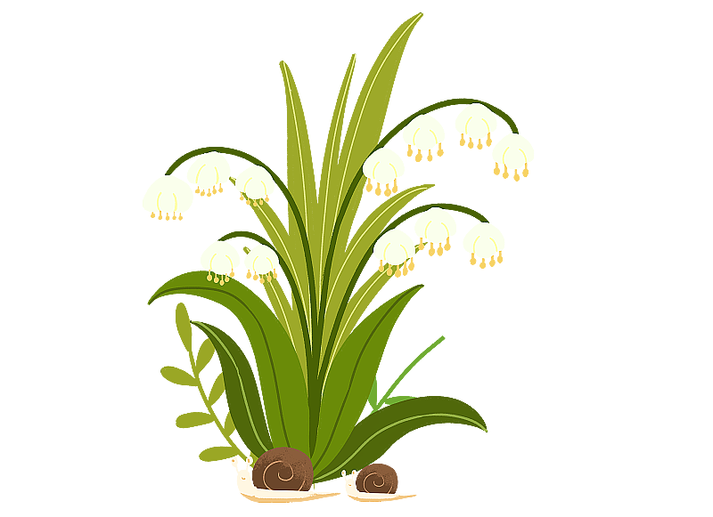 铃铛花元素图片素材