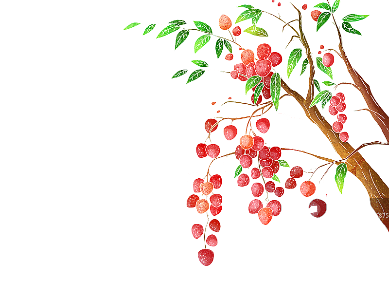 荔枝元素图片素材