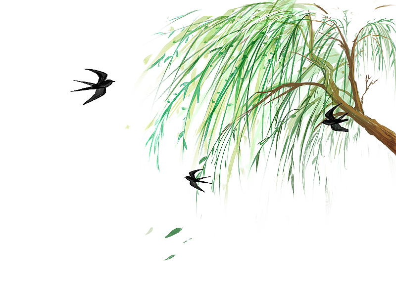 春天柳树燕子图片素材